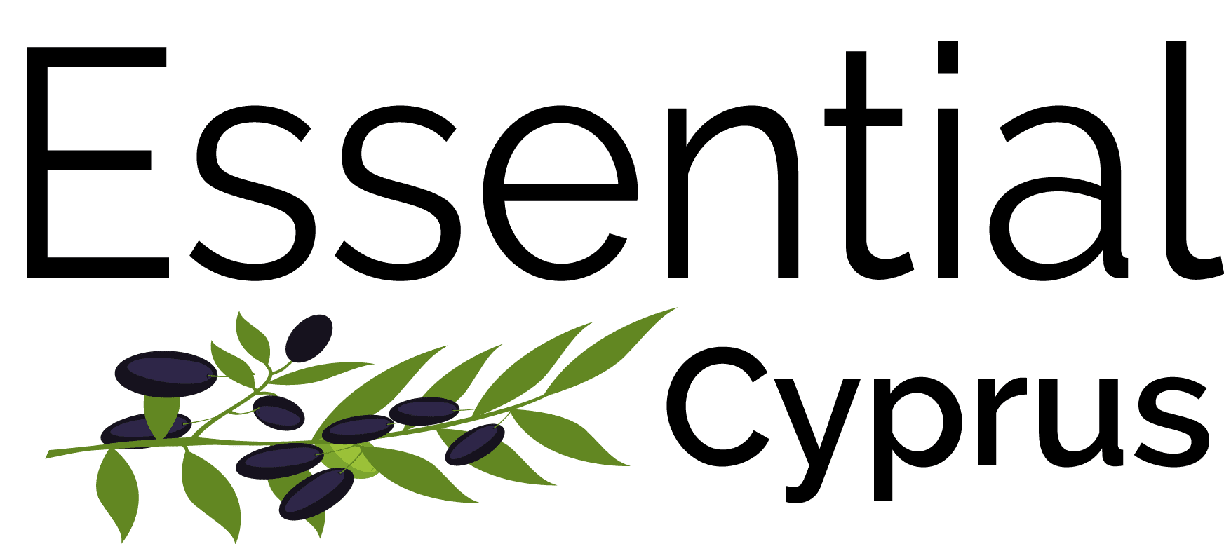essential cyprus website